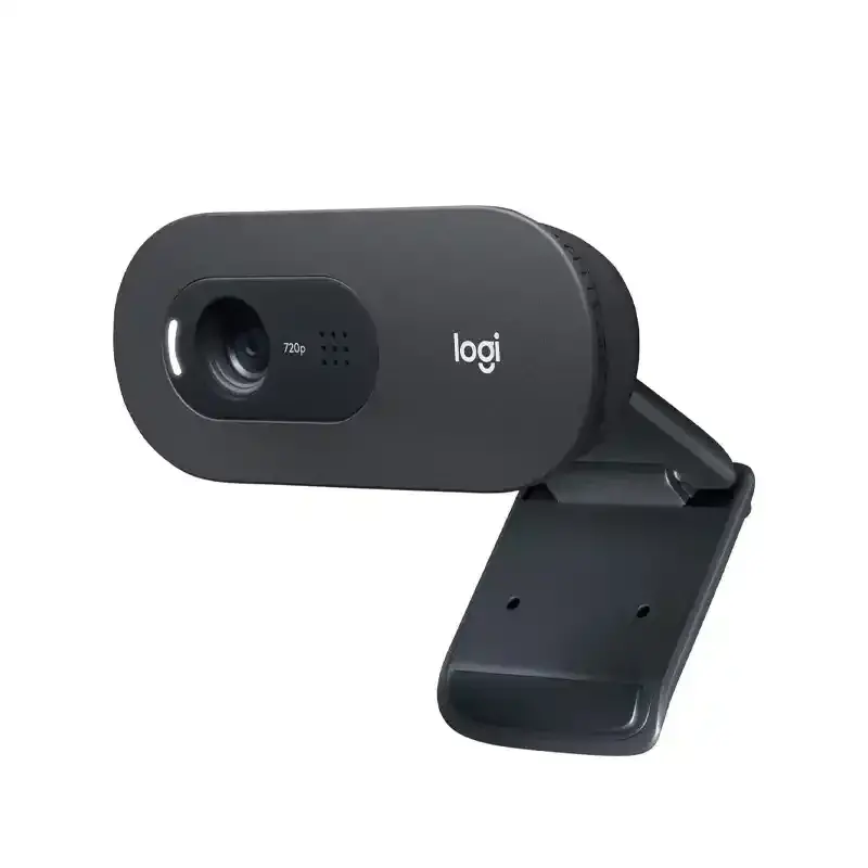 Logitech C505e